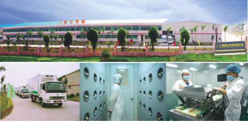 新营销法则破局数字化时代 广西春江卤味鸭掌如何以技术推广引领零食行业新风潮