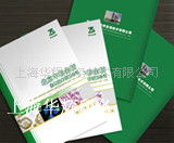 上海华辉印务 技术驱动下的画册印刷产品矩阵与创新推广